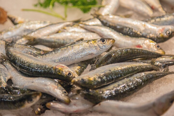 Marché aux poissons : Les sardines fraîches.