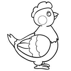 sketch of a cute chicken, coloring book, isolated object, vector illustration, cartoon illustration,