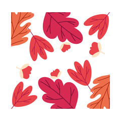 autumn season leafs plant colorful pattern decoration