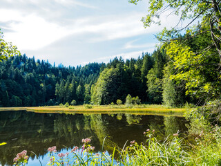 Blick über den Suttensee und die unberührte Natur oberhalb Rottach-Egern. Enterrottach zum...