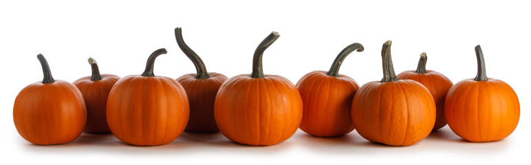 Pumpkins in a row isolated on white