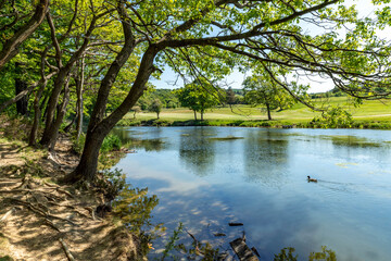 Meltham Mills Reservoir, Meltham near Holmfirth in West Yorkshire, England.