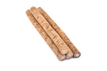 Fresh Burdock roots on white background