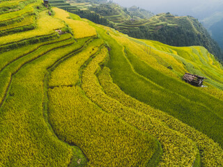Beautiful terrace rice field with small houses in China