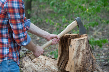 Cutting some firewood. Chopping wood. Wood chopper in male hands. Lumbermans equipment. Forestry logging. Timber harvesting. Summer nature