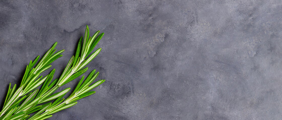 Close-up of fresh rosemary on concrete background. Banner, flat lay, space for text