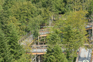 Fototapeta na wymiar Top view of a wooden walkway in the treetops