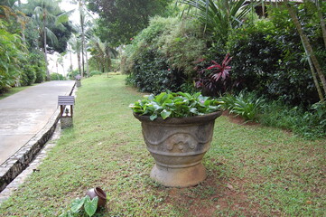 トロピカルガーデンと遊歩道