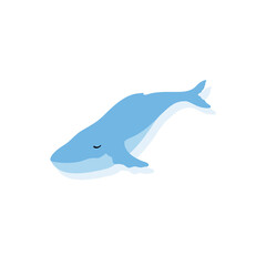 whale, cute whale, logo humpback, underwater, big fish, snorkeling, diving, swim, swimming
