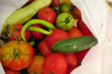 natural tomatoes, peppers, cucumbers, organic vegetables, in a bag