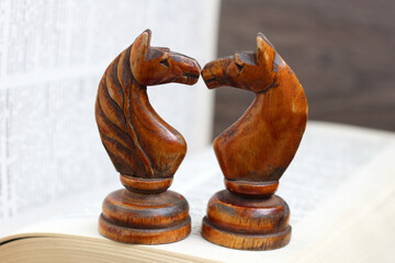 Two wooden horses chess and a book