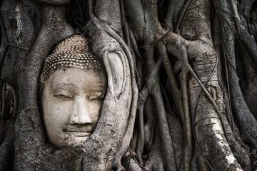 Fototapeta na wymiar Buddha head in Bodhi tree root at Mahathat temple