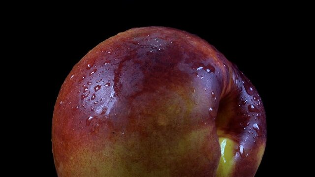 One ripe wet nectarine fruit on a rotating. Close-up