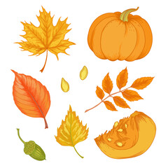 Vector watercolor illustration of various autumn leaves and pumpkin. Beautiful bouquet of yellow and red leaves, branches.	