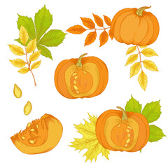 Vector watercolor illustration of various autumn leaves and pumpkin. Beautiful bouquet of yellow and red leaves, branches.	