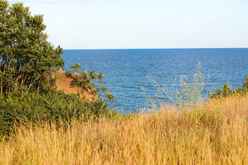 beach and grass