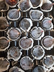 Fig berry packed in a shipping container