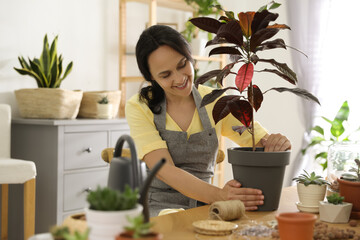 Mature woman potting houseplant at home. Engaging hobby
