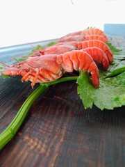 fresh boiled crayfish on a celery leaf