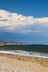 beach and sea view with a sea gull at Côte d’Azur, France