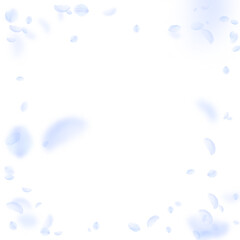 Light blue flower petals falling down. Ravishing r