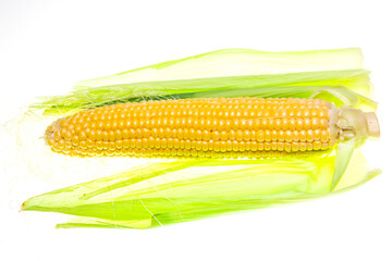 Corn on a white background.
