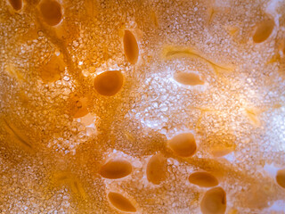 Physalis