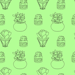 Seamless pattern background. Cute cacti and succulents. Pattern of flowers. Graphics.