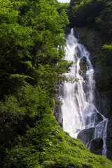 初夏の神庭の滝　岡山県