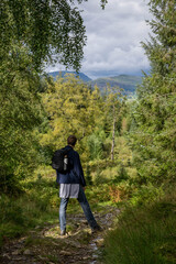 Obraz premium Single man is travelling through the autumn forest