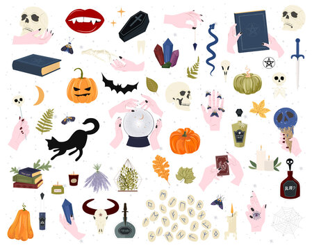 Set of mystical elements for Halloween party. Skull, pumpkin, magic symbol, crystal ball, bat. Editable vector illustration.
