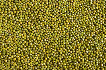 Mung bean seed (Green bean) background , background pattern,Top view.
