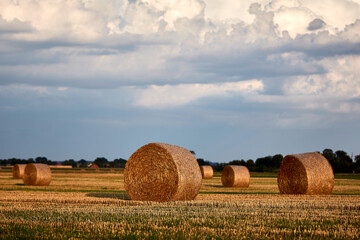 Zusammengerolltes Heu in Ballen am Feld 