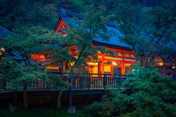 Naklejka premium Temple in Japan. Japanese Buddhist Temple Quest. Evening Japanese city. Travel to temples of Japan. Trees next to a Japanese-style building. Concept - travel through regions of Japan. Night.