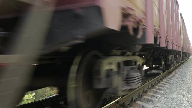freight train moving close in the forest