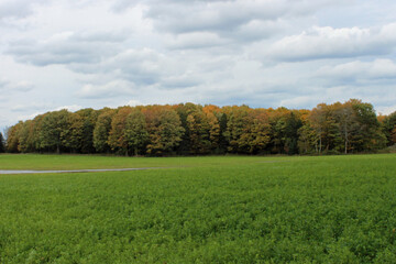 Farm Field and Forest in Early Fall