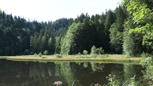 Blick &uuml;ber das ruhige Wasser von Suttensee und die unber&uuml;hrte Natur oberhalb Rottach-Egern, Enterrottach und Tegernsee in Bayerische Landschaft