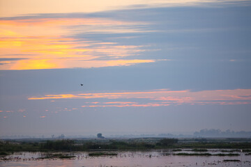 Morning reservoir in Thailand Beautiful morning view The red lotus sea of thailand