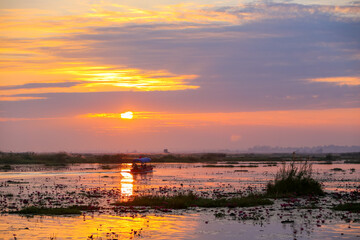 Fototapeta na wymiar Morning reservoir in Thailand Beautiful morning view The red lotus sea of thailand