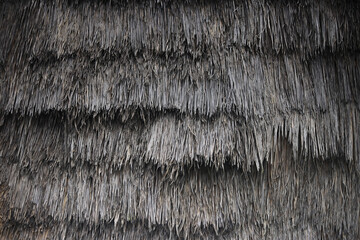 thatched roof of the house