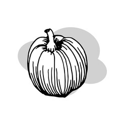 Pumpkin. Vector image isolated on white background. Design element for product label.