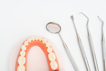 Dentist tool care set and tooth model  on white