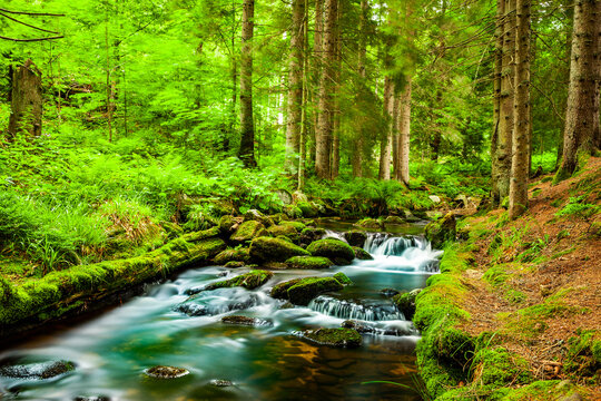 Wildbach im Bayerischen Wald