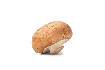 Tasty mushroom isolated on white background.