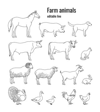 Farm animals set of horse, pig, dog, bull, cow, cat, ram, sheep, goat, rabbit, turkey, goose, duck, rooster, chicken. Editable line. Vector illustration