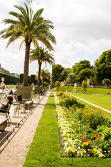 palm trees in the park of barcelona