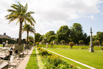 Fototapeta premium palm trees on the street