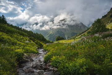 Naklejka premium mountain landscape in summer