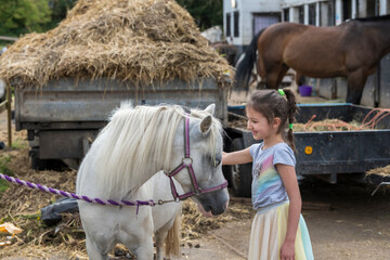 Smiling pretty young girl standing grooming the horse with a brush in an outdoor paddock