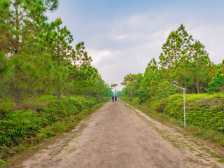 Unacquainted people Trekking to the top of the Phu Kradueng mountain national park in Loei City Thailand.Phu Kradueng mountain national park the famous Travel destination of Thailand